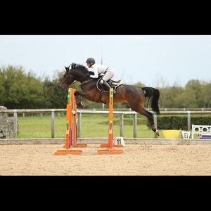 Meet your Posher, Kristy